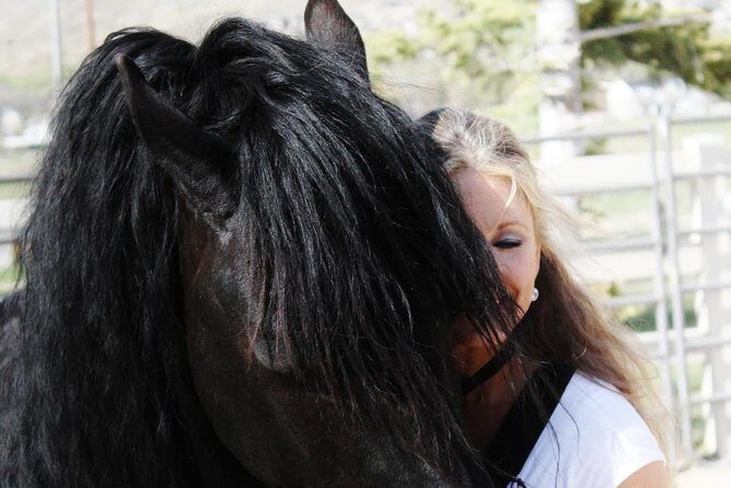 Friesian Herd Tours, Workshops, Classes and Retreats in the Kettle Moraine area. - The Review: What Past Participants Say