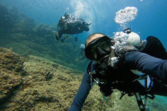 From Abu Dhabi: 2 Dives for Certified Divers in Fujairah - Diving Experience and Safety