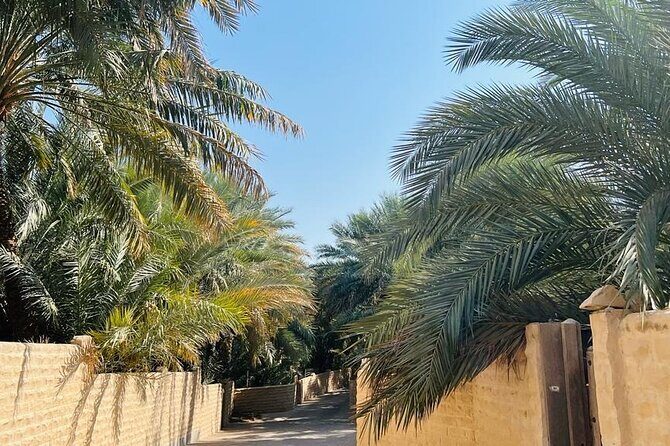 From Abu Dhabi Hotels : Private Al Ain Full-Day with Car and Driver - Insights from Travelers and What You Can Expect
