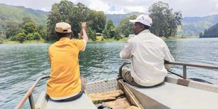 From Addis Ababa: Wenchi Crater Lake Day Trip with Boat Ride - How the Experience Adds Value