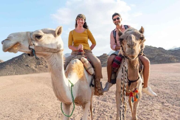 From Agadir: Camel Ride and Flamingo Trek - Authenticity and Value