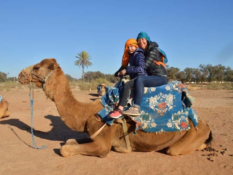 From Agadir: Camel Ride and Flamingo Trek - What’s Missing or Could Be Better?