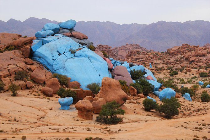 From Agadir goats to the tree tour (land & people) - What’s included and what’s not