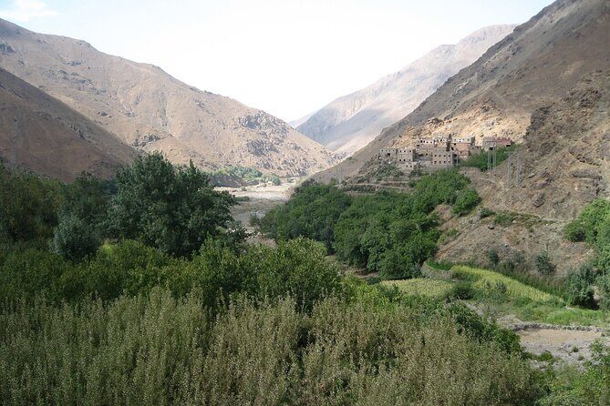 From Agadir Hotel or Port : Paradise Valley Trip - Transportation and Group Size