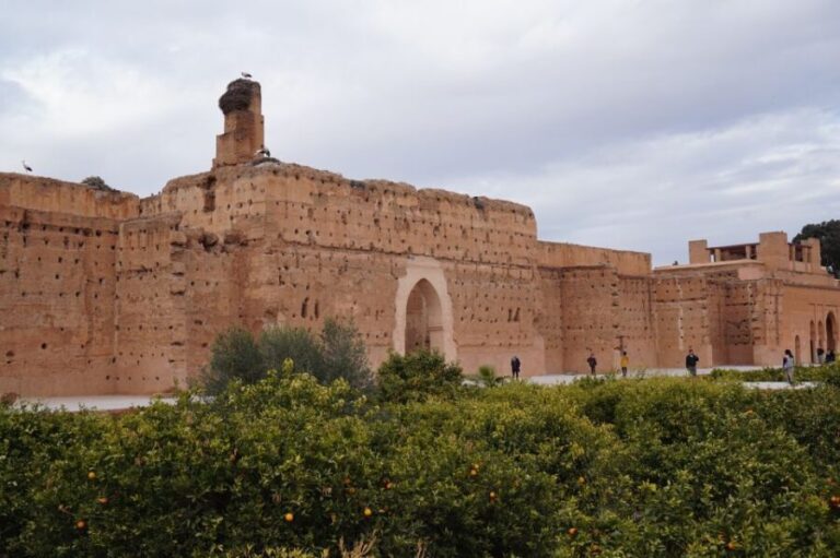 From Agadir: Marrakech Guided Trip with Licensed Tour Guide - Practical Details and What Travelers Say