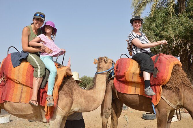 From Agadir or Port Trip to Small Sahara of Massa and Tiznit with Lunch - Who Will Love This Tour?