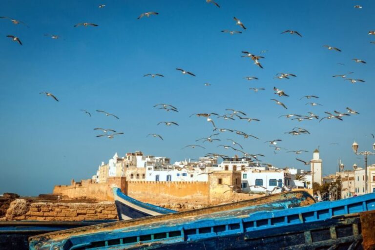 From Agadir or Taghazout: Essaouira Full-Day Trip with Guide - Exploring Essaouira: The Highlights