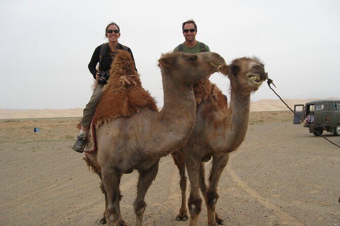 From Agadir or Taghazout or Port 2 Hours Camel Ride - The Itinerary: What Does the 2-Hour Camel Ride Look Like?