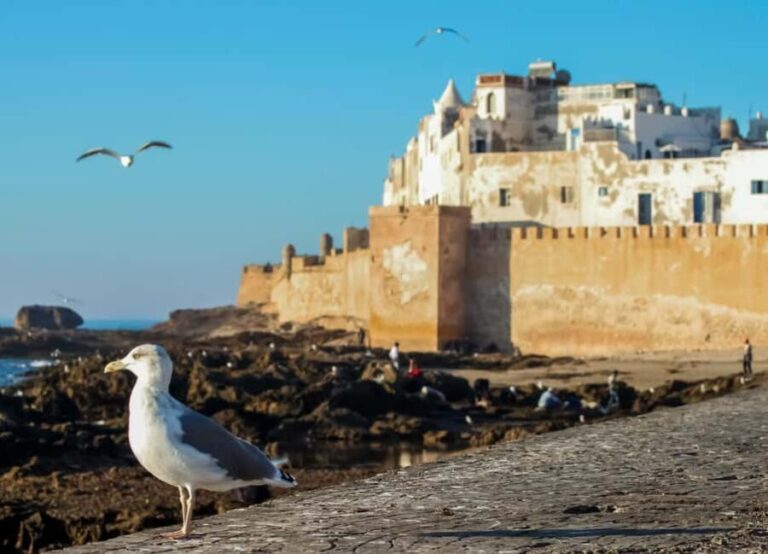 From Agadir : Private 3-Days Tour To Essaouira & Marrakech - What Makes This Tour Stand Out