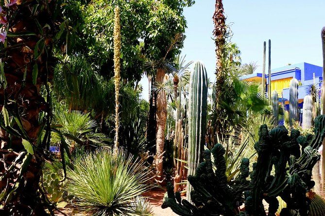 From Agadir: Private day trip to Marrakech - Who Is This Tour Best For?