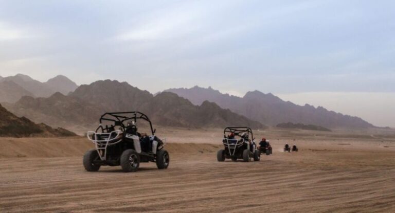 From Agadir: Sahara Desert Buggy Tour with Snack & Transfer - The Itinerary in Detail
