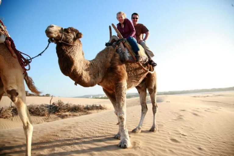 From Agadir: Sunset Camel Ride with BBQ Dinner and Transfers - Why This Tour Offers Good Value