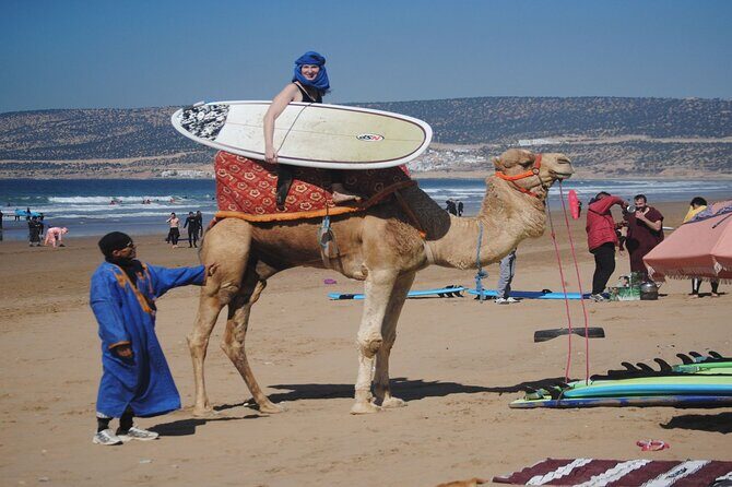 From Agadir: Taghazout Full-Day Surf Lesson with Lunch & Transfer - Practical Details: Timing, Transportation, and Group Size