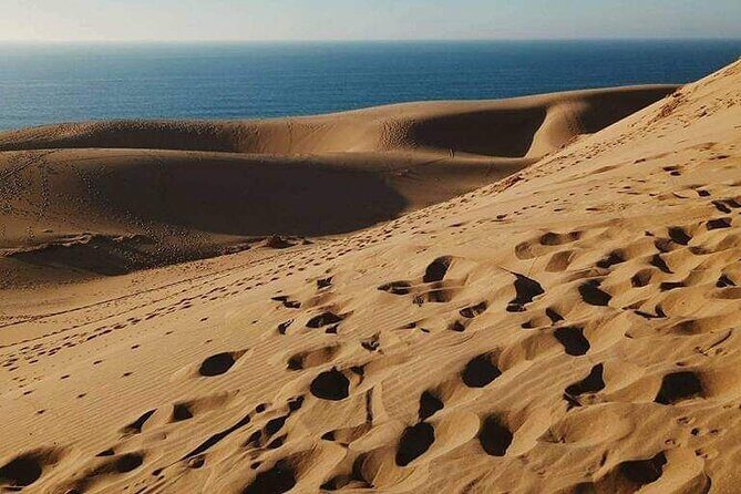 From Agadir/Taghazout: Sahara Sand Dunes  Morning or Sunset Tour - A Closer Look at the Itinerary