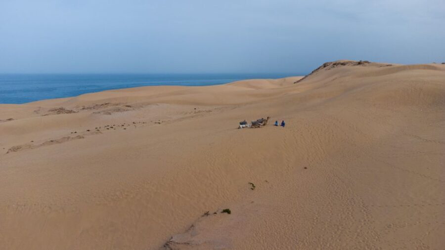 From Agadir/Taghazout: Sahara Sand Dunes with Transfer