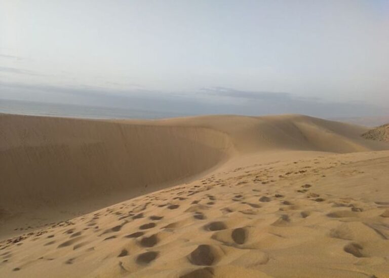 From Agadir/Taghazout: Sahara Sand Dunes with Transfer - What Makes the Dunes Special?