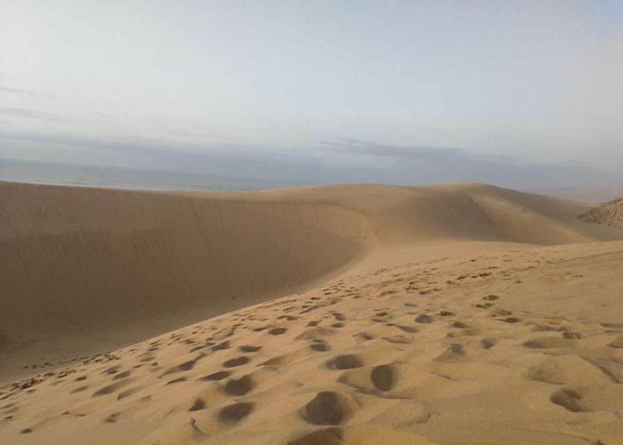 From Agadir/Taghazout: Sahara Sand Dunes with Transfer - What Makes the Dunes Special?