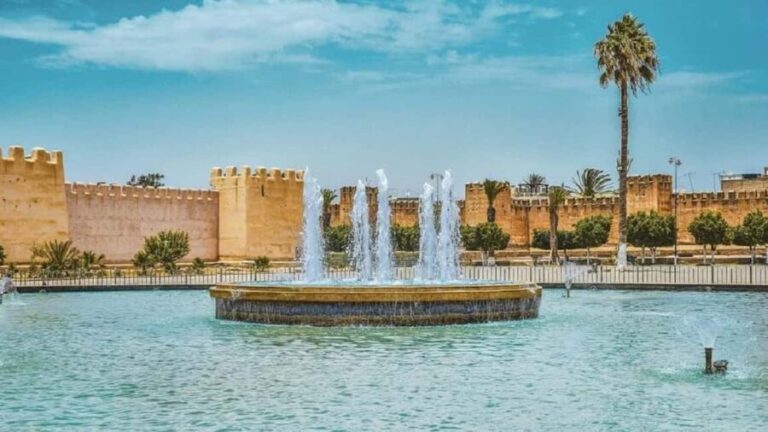 From Agadir: Taroudant and Tiout Day Tour with Lunch - Transportation and Logistics