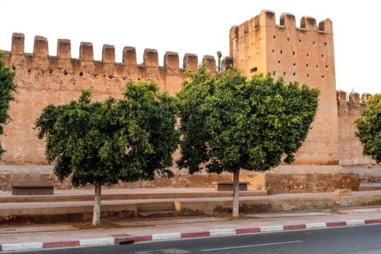 From Agadir: Taroudant & Tiout Guided Trip including Lunch - The Itinerary Breakdown: What You’ll Experience