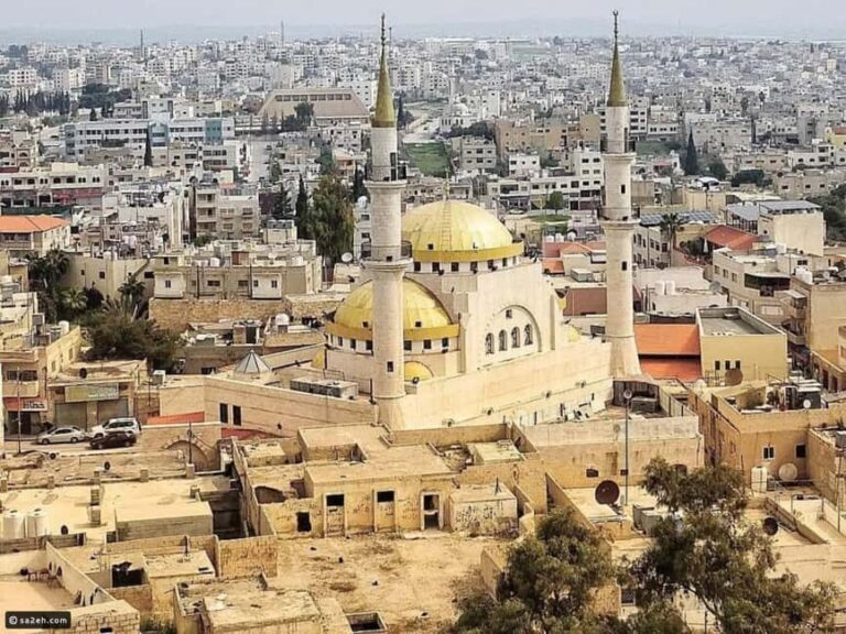 From Amman: Madaba, Mount Nebo, and Dead Sea Day Trip - What Makes This Tour Stand Out?