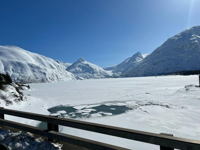 From Anchorage: Alaska Wildlife Center & Turnagain Arm Tour - Transportation & Logistics
