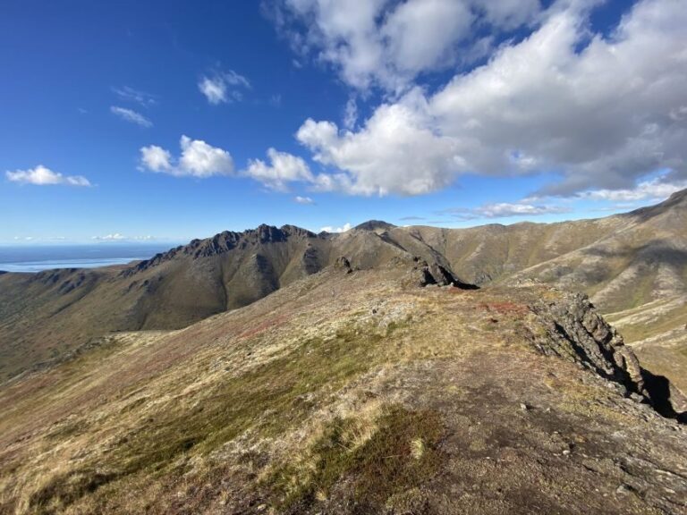 From Anchorage: Chugach State Park Guided Alpine Trek - Who Will Love This Tour?