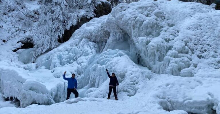 From Anchorage: Chugach State Park Winter Walking Tour - Authentic Experiences from Travelers