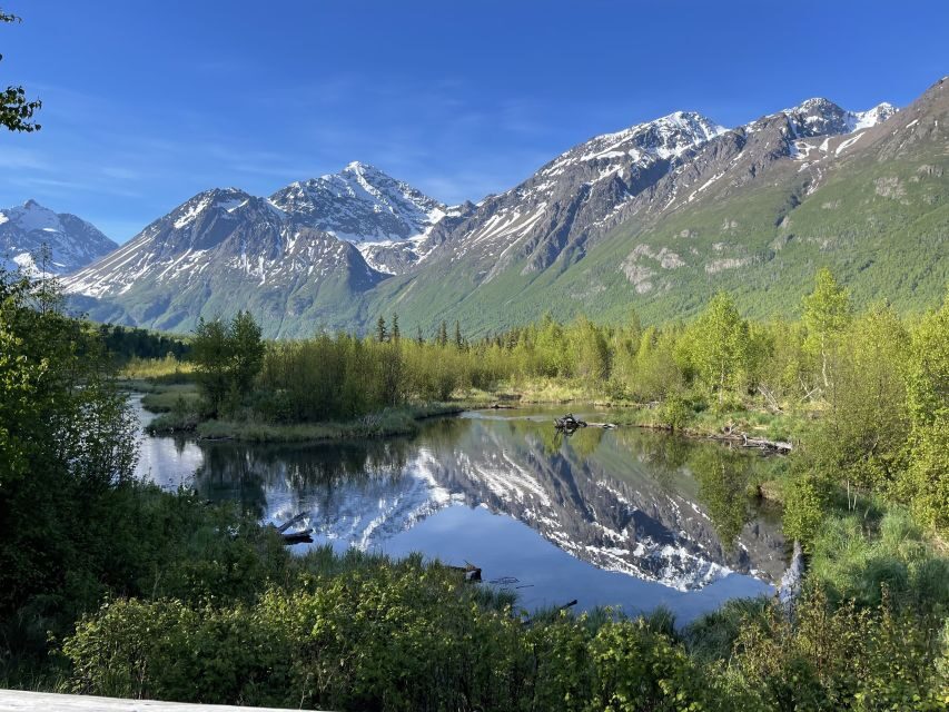 From Anchorage: Valley and Forest Hike with Naturalist Guide - The Value of the Experience
