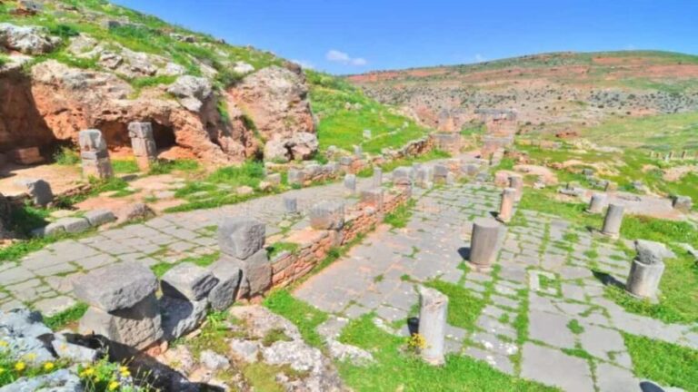 From Annaba: Tiddis Roman Ruins Tour with Lunch - The Ruins: Temples, Baths, and Monuments