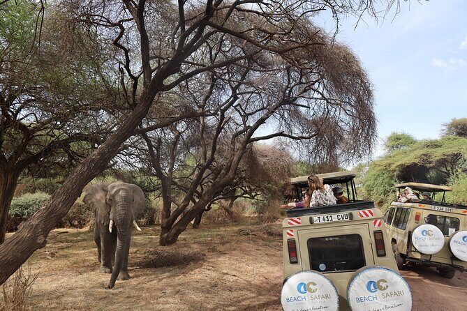 From Arusha: 6 Day Classic Game Drive Serengeti & Ngorongoro - Final Thoughts