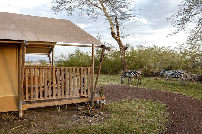 From Arusha: 7 Days Classic Safari Central Northern Circuit - Transportation & Accommodations: What Travelers Can Expect