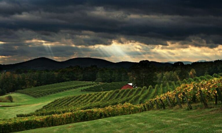 From Atlanta: North Georgia Wine Country Tour - What We Loved About the Experience