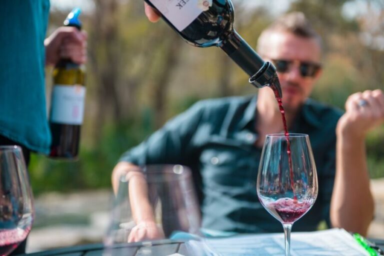 From Austin: Half-Day Hill Country Wine Shuttle - What to Expect: A Deep Dive into the Tour Itinerary