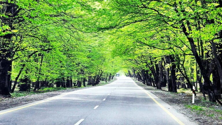 From Baku: Gabala, Tufandagh Mountain and Shamakhi Tour - Transportation and Guide