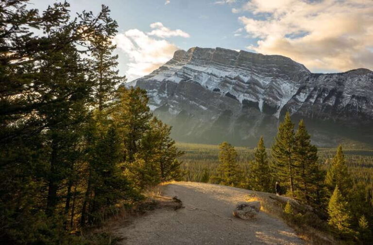From Banff: Banff Wildlife & Scenic Highlights Premium Tour - Who Will Love This Tour?