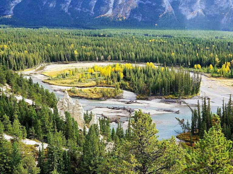 From Banff/Canmore: Deep 1 Day Tour in Banff National Park - Authentic Insights from Travelers