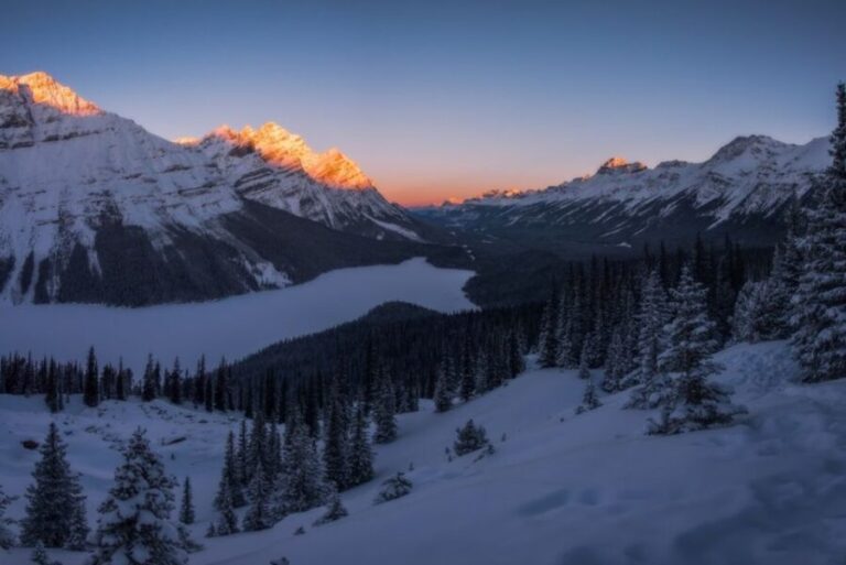 From Banff: Icefields Parkway & Abraham Lake Ice Bubbles - The Value of This Tour
