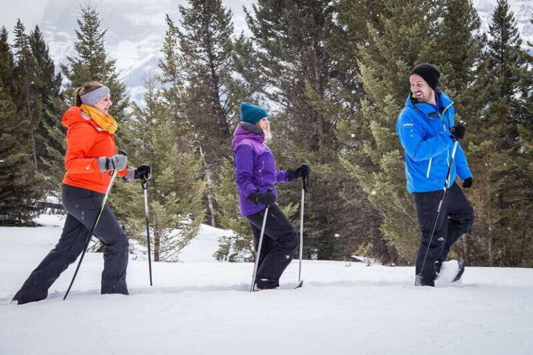 From Banff: Snowshoeing Tour in Kootenay National Park - Key Points