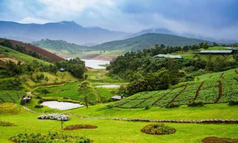 From Bangalore: 7 Days Coorg & Hassan Heritage Private Tour - Value and Practicality