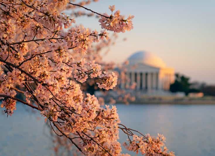 From Boston: 4-Day Tour to New York, D.C.&Niagara Falls - What This Tour Really Means for You