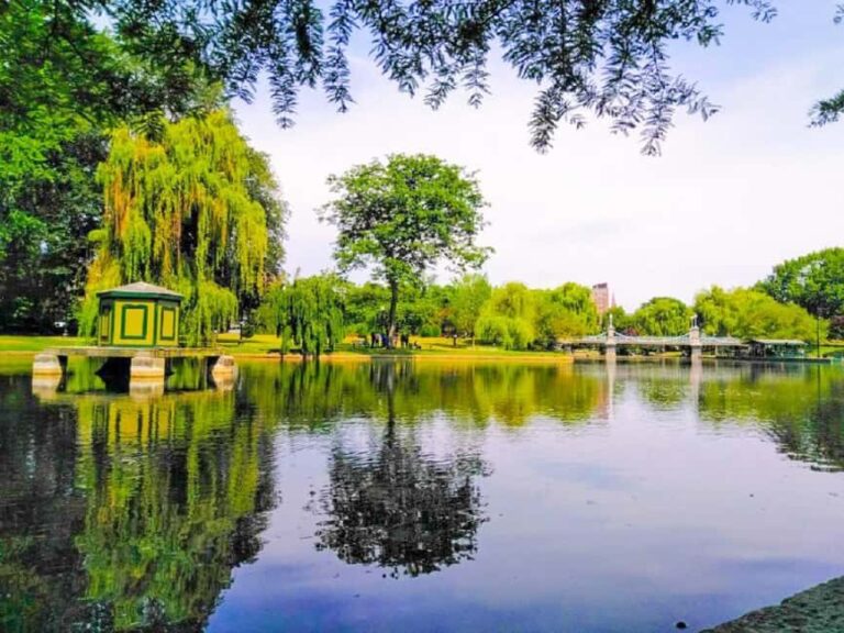 From Boston:Public Garden,Beacon Hill&More Half Day tour - Transportation and Guide Experience