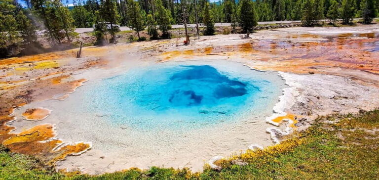 From Bozeman: Yellowstone Day Tour (Lower Loop) - The Experience of the Guide and Transport