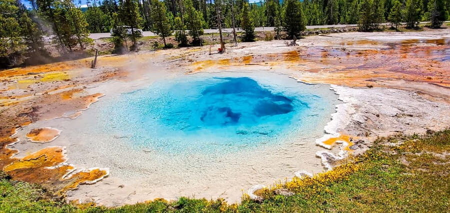 From Bozeman: Yellowstone Day Tour (Lower Loop) - The Experience of the Guide and Transport