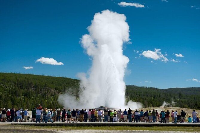 From Bozeman Yellowstone Full Day Tour Lower Loop - A Closer Look at the Itinerary