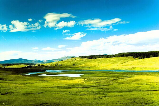 From Bozeman Yellowstone Full Day Tour Upper Loop - How the Tour Runs and What to Expect