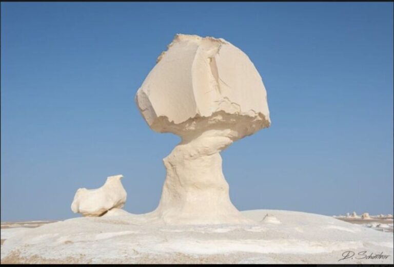 From Cairo: Bahariya Oasis and Black and White Desert Tour - Value and Practical Considerations