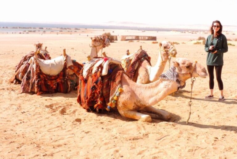 From Cairo : Overnight Camping Adventure in El-Fayoum Oasis - The Journey’s Value: Breaking It Down