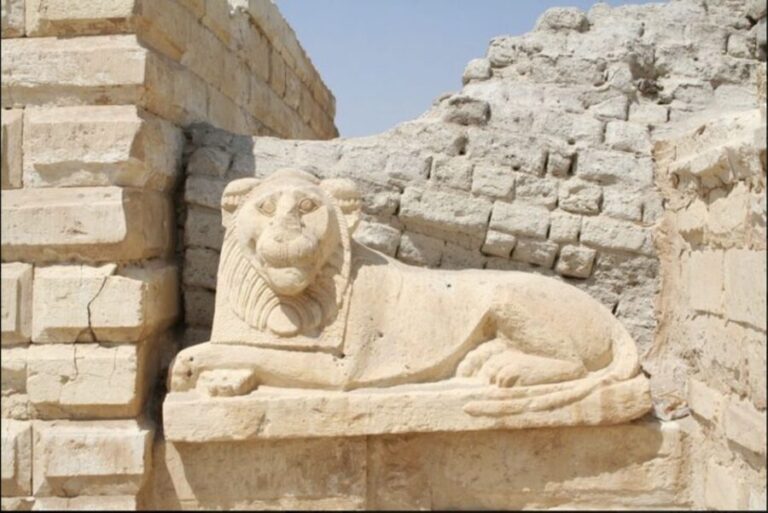 From Cairo: Whale Valley and Wadi El Rayan Waterfalls Tour - Practical Details & Value