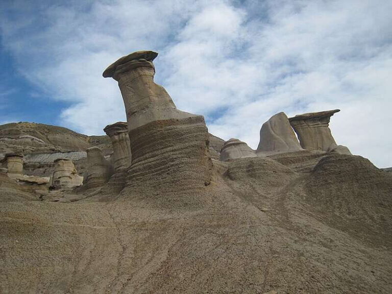 From Calgary: Canadian Badlands Private Geological Tour - Why the Tour Offers Great Value