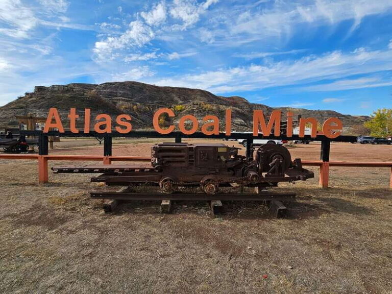 From Calgary: Drumheller Private Tour, Full day sightseeing - Review Highlights and Traveler Feedback